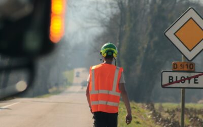 Comment choisir le bon professionnel pour l&rsquo;élagage de vos arbres à Rumilly